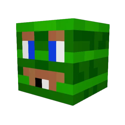 LeanMage Minecraft avatar head, 3D render