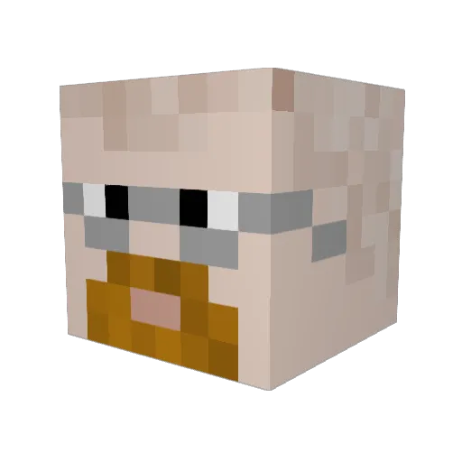 LeanSimmons Minecraft avatar head, 3D render