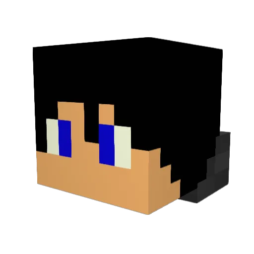 LeanSquad_ Minecraft avatar head, 3D render