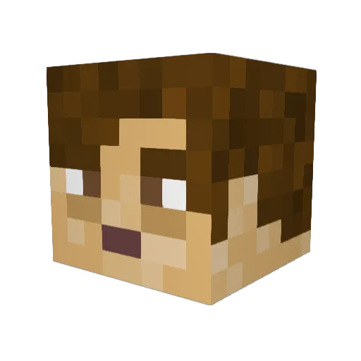 Leander13011 Minecraft avatar head, 3D render