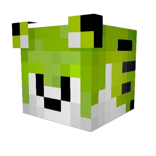 Leandr_0 Minecraft avatar head, 3D render