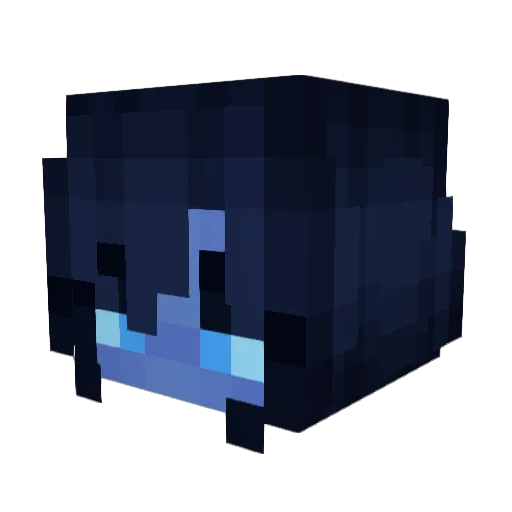Leandro341 Minecraft avatar head, 3D render