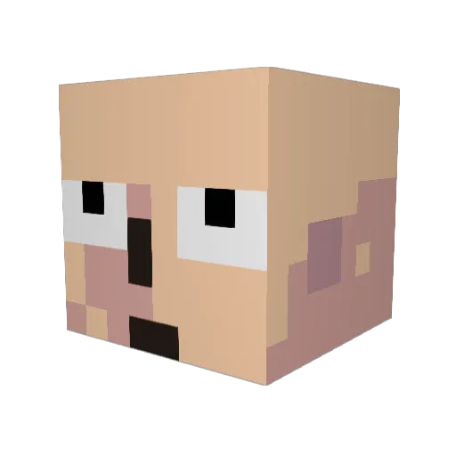 LeandroLopes Minecraft avatar head, 3D render