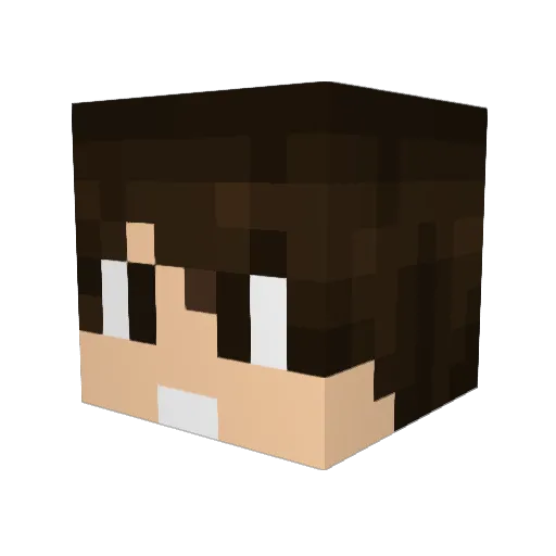 LeandroSaantos Minecraft avatar head, 3D render