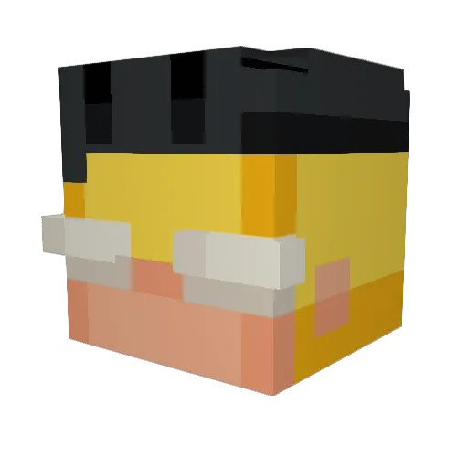 Leandrosioty Minecraft avatar head, 3D render