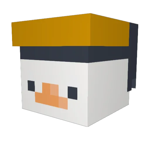 Leandross Minecraft avatar head, 3D render