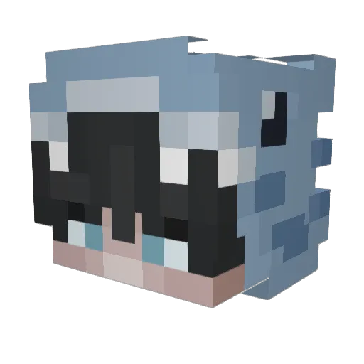 Leandrrr Minecraft avatar head, 3D render