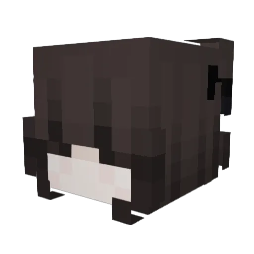 Leaneeeeeee Minecraft avatar head, 3D render