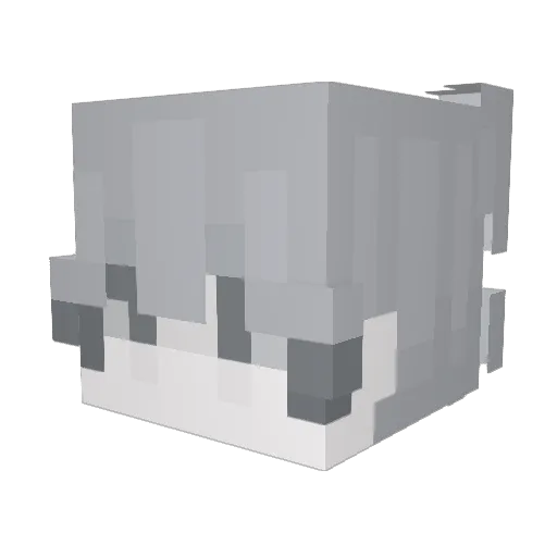 LeaozInho_ Minecraft avatar head, 3D render