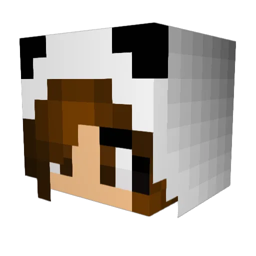 Leapwp Minecraft avatar head, 3D render