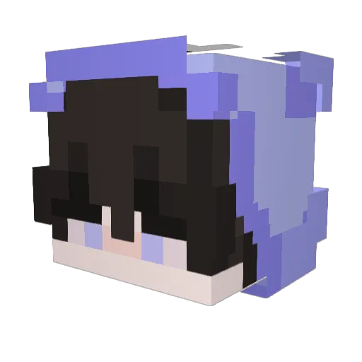 LearBeon Minecraft avatar head, 3D render