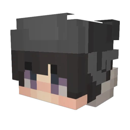 LeatherJacket6 Minecraft avatar head, 3D render
