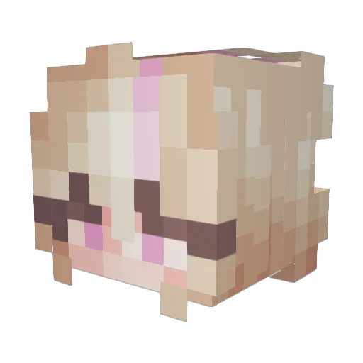 Leave5 Minecraft avatar head, 3D render
