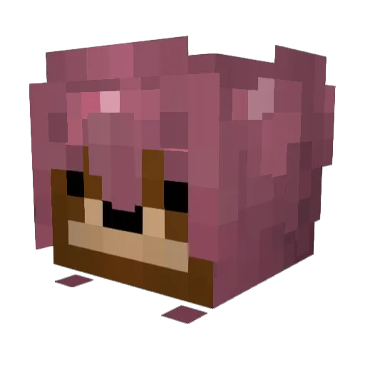 Leaveyyyyyyyy Minecraft avatar head, 3D render