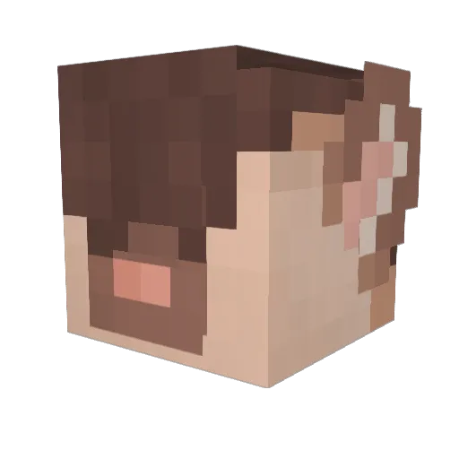 Leaya Minecraft avatar head, 3D render