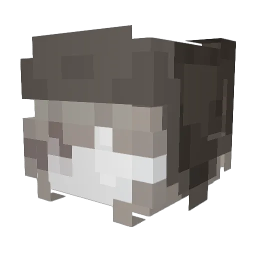 Leayaa Minecraft avatar head, 3D render
