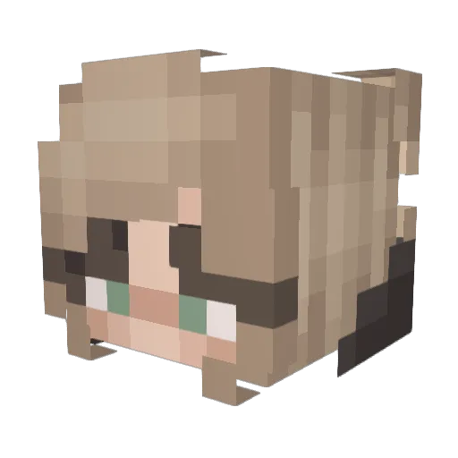 Leayepyep Minecraft avatar head, 3D render