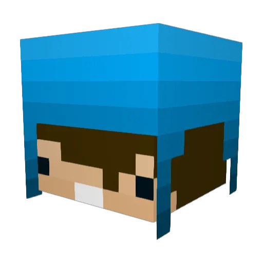 Leazinkjl Minecraft avatar head, 3D render
