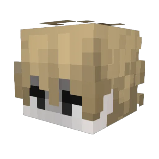 Leba_deia Minecraft avatar head, 3D render