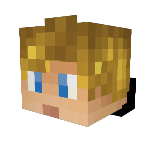Lebensfreude Minecraft avatar head, 3D render