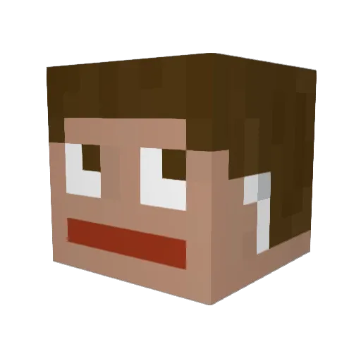 Leberbeutel Minecraft avatar head, 3D render