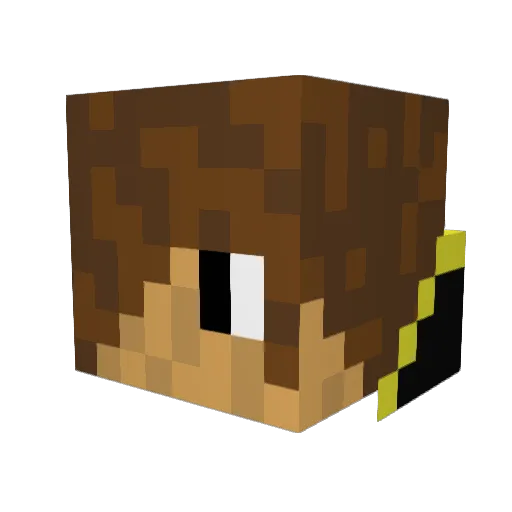 Lebgdu2001 Minecraft avatar head, 3D render