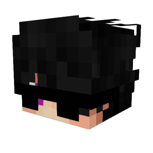 Lebreit Minecraft avatar head, 3D render