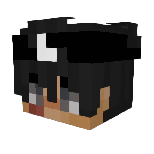 Lebret0n_ Minecraft avatar head, 3D render