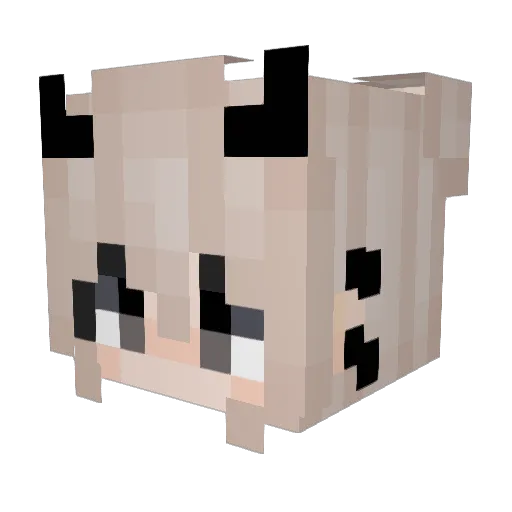Lebron014 Minecraft avatar head, 3D render