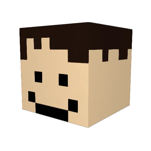 LebronJames2014 Minecraft avatar head, 3D render