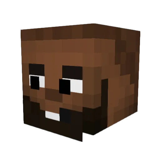 LebronJames69 Minecraft avatar head, 3D render