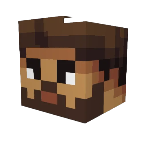 LebronRawr Minecraft avatar head, 3D render