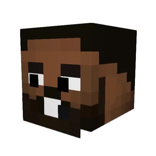 LebronbronJames Minecraft avatar head, 3D render