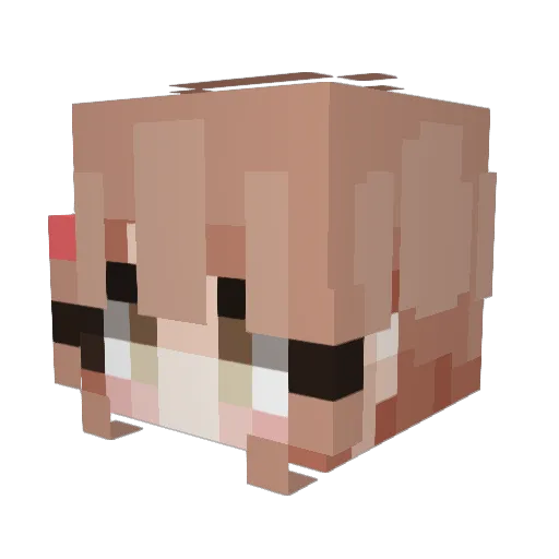 Lechonk_Enjoyer_ Minecraft avatar head, 3D render