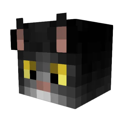Lechunia Minecraft avatar head, 3D render