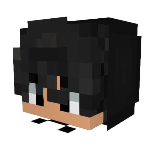 Leck_Eseleier69 Minecraft avatar head, 3D render