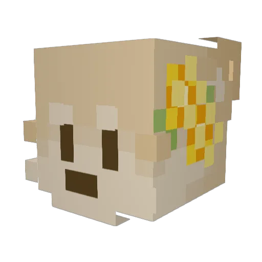 Leckocaim Minecraft avatar head, 3D render