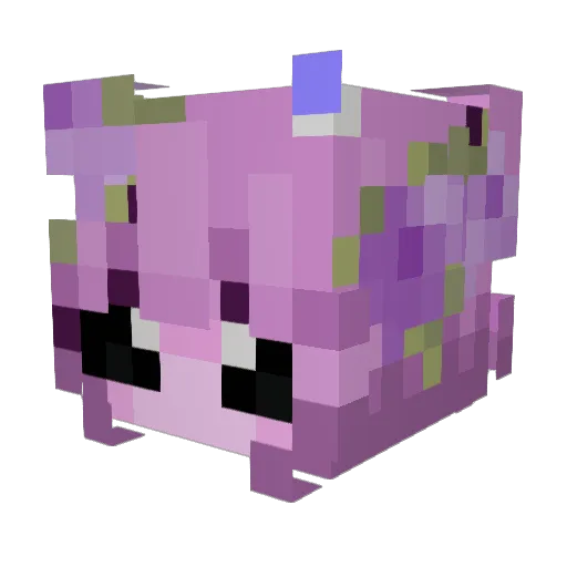 Leckopa Minecraft avatar head, 3D render