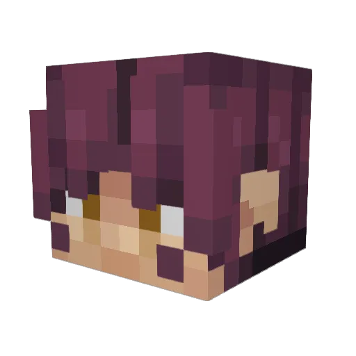 Lecksi1729 Minecraft avatar head, 3D render