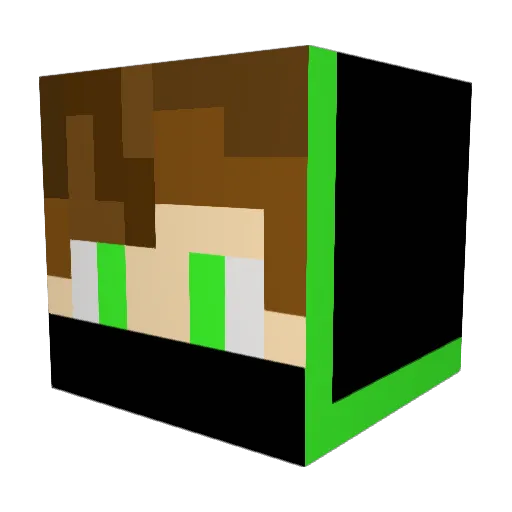 Lecrafter2021 Minecraft avatar head, 3D render