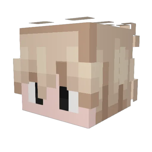 Lectric_Man Minecraft avatar head, 3D render