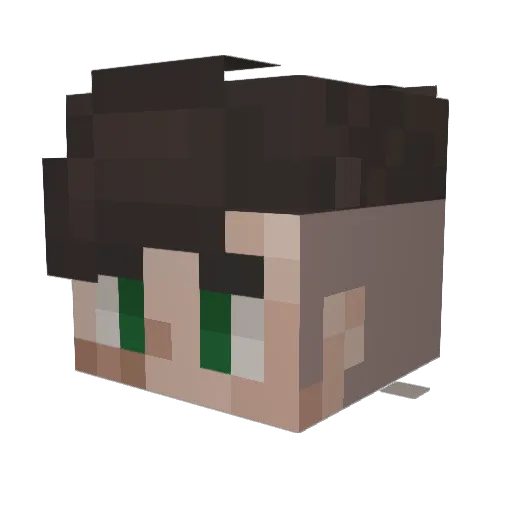 Leden00 Minecraft avatar head, 3D render