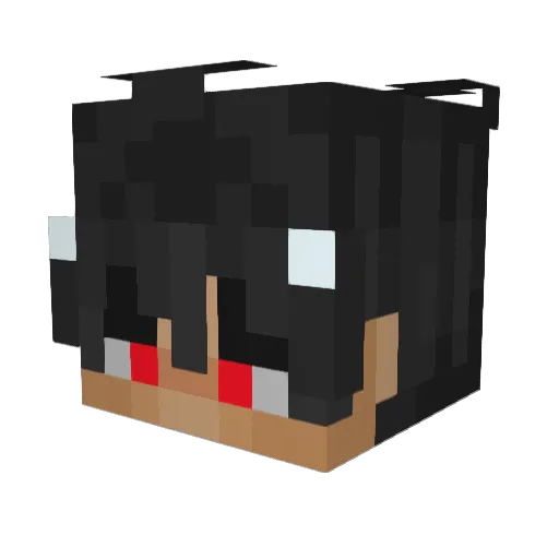 Ledistintop Minecraft avatar head, 3D render