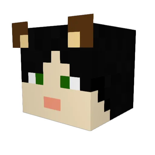 Lee0l Minecraft avatar head, 3D render