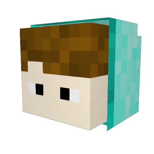 Lee15_25 Minecraft avatar head, 3D render