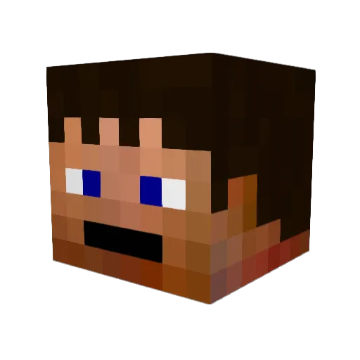 Lee4Hire Minecraft avatar head, 3D render