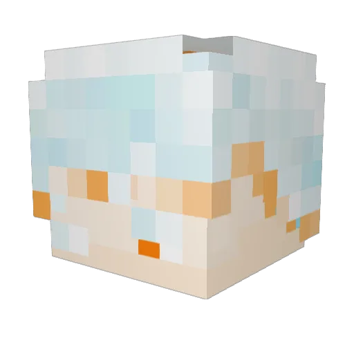 LeeBirth Minecraft avatar head, 3D render