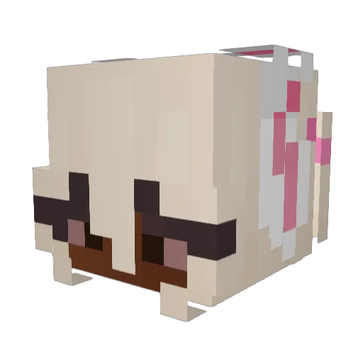 LeeCYA Minecraft avatar head, 3D render