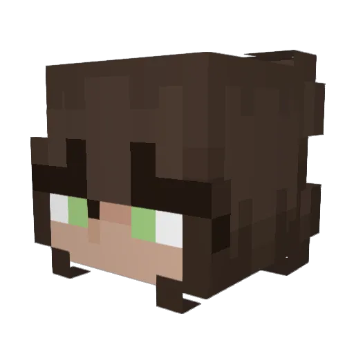 LeeDot Minecraft avatar head, 3D render