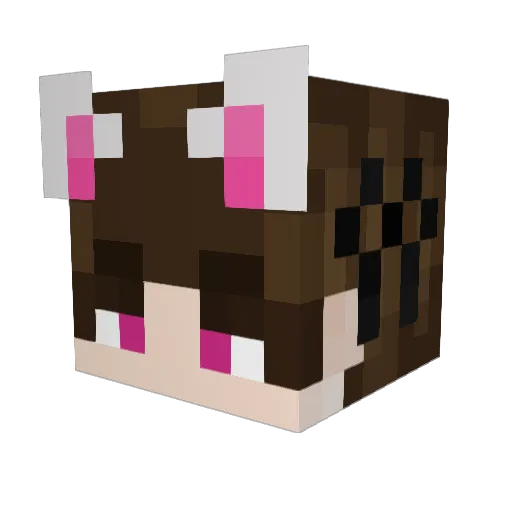 LeeHuds Minecraft avatar head, 3D render